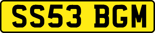 SS53BGM