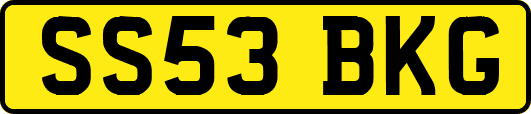 SS53BKG