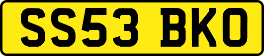 SS53BKO