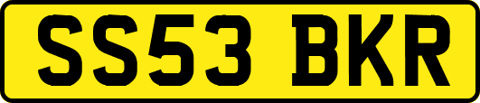 SS53BKR