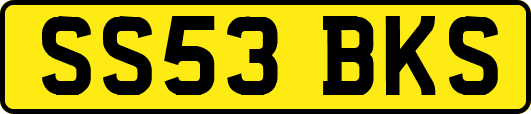 SS53BKS