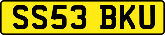 SS53BKU