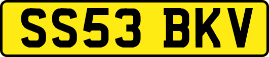 SS53BKV