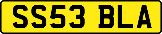 SS53BLA