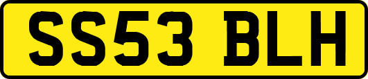 SS53BLH