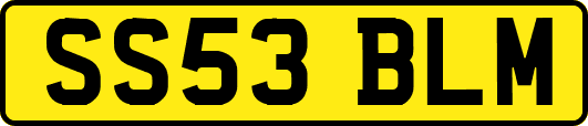SS53BLM