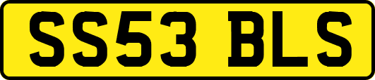 SS53BLS