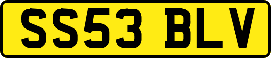 SS53BLV