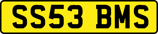 SS53BMS
