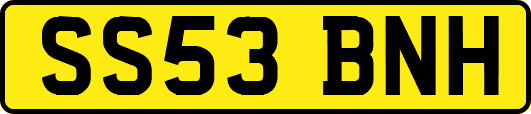 SS53BNH