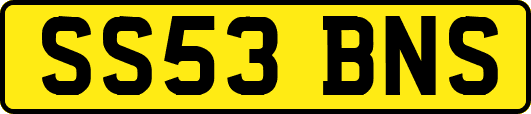 SS53BNS