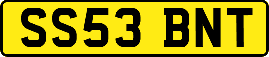SS53BNT