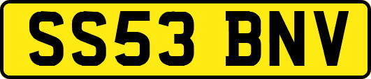 SS53BNV