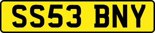 SS53BNY