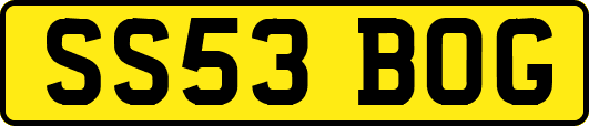 SS53BOG