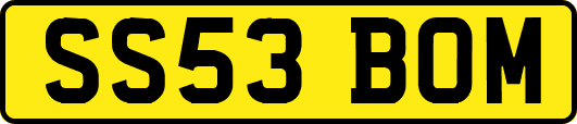 SS53BOM