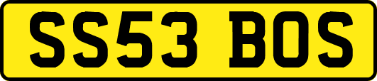 SS53BOS