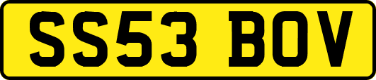 SS53BOV