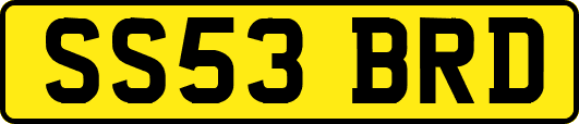 SS53BRD