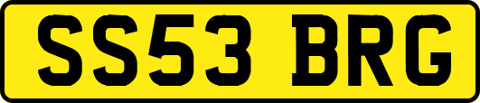 SS53BRG