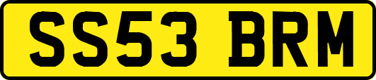 SS53BRM