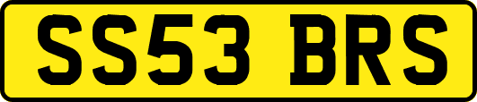 SS53BRS