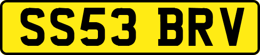 SS53BRV
