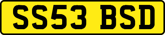 SS53BSD