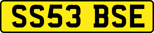 SS53BSE