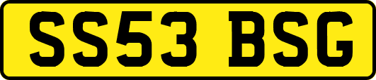 SS53BSG