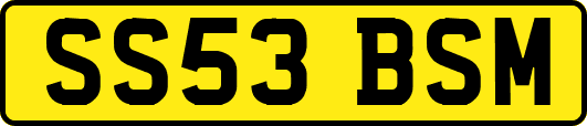 SS53BSM