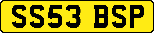 SS53BSP
