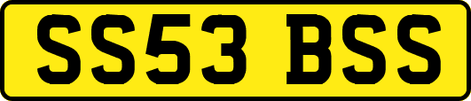 SS53BSS