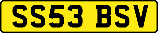 SS53BSV