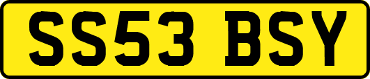 SS53BSY