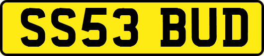 SS53BUD