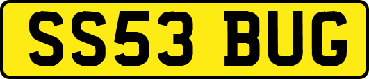 SS53BUG