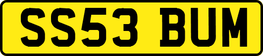 SS53BUM