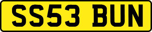 SS53BUN