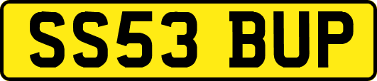 SS53BUP