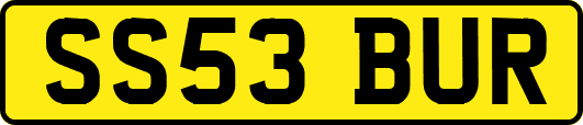 SS53BUR