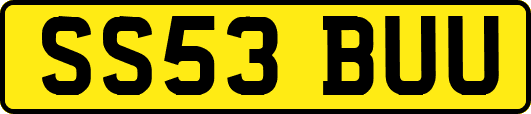 SS53BUU