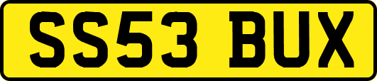 SS53BUX