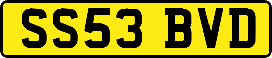 SS53BVD