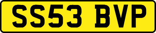 SS53BVP