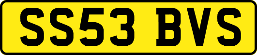 SS53BVS