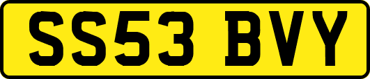 SS53BVY