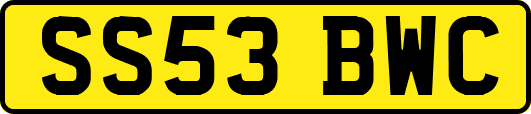 SS53BWC