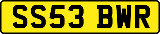 SS53BWR