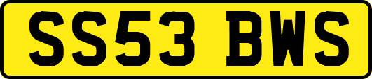 SS53BWS